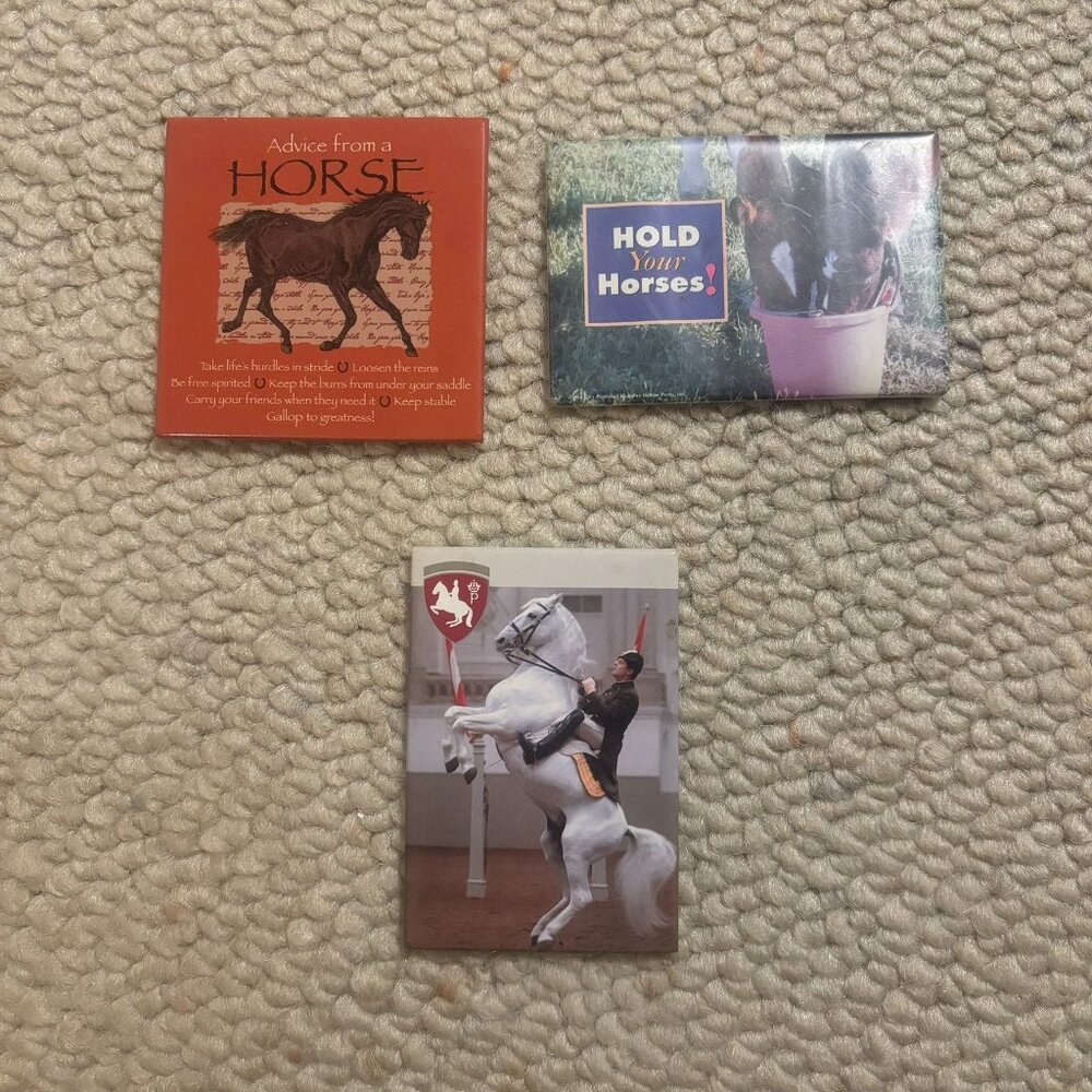 Horse Magnets - Three Pack